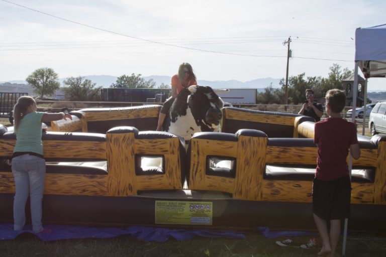 Galaxy Mechanical Bull