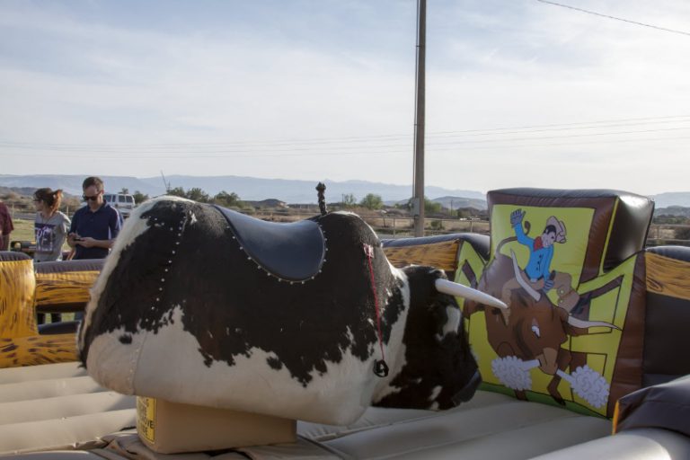 Galaxy-Mechanical-Bull-02