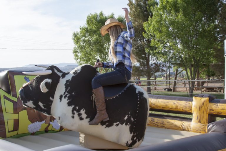 Galaxy-Mechanical-Bull-03
